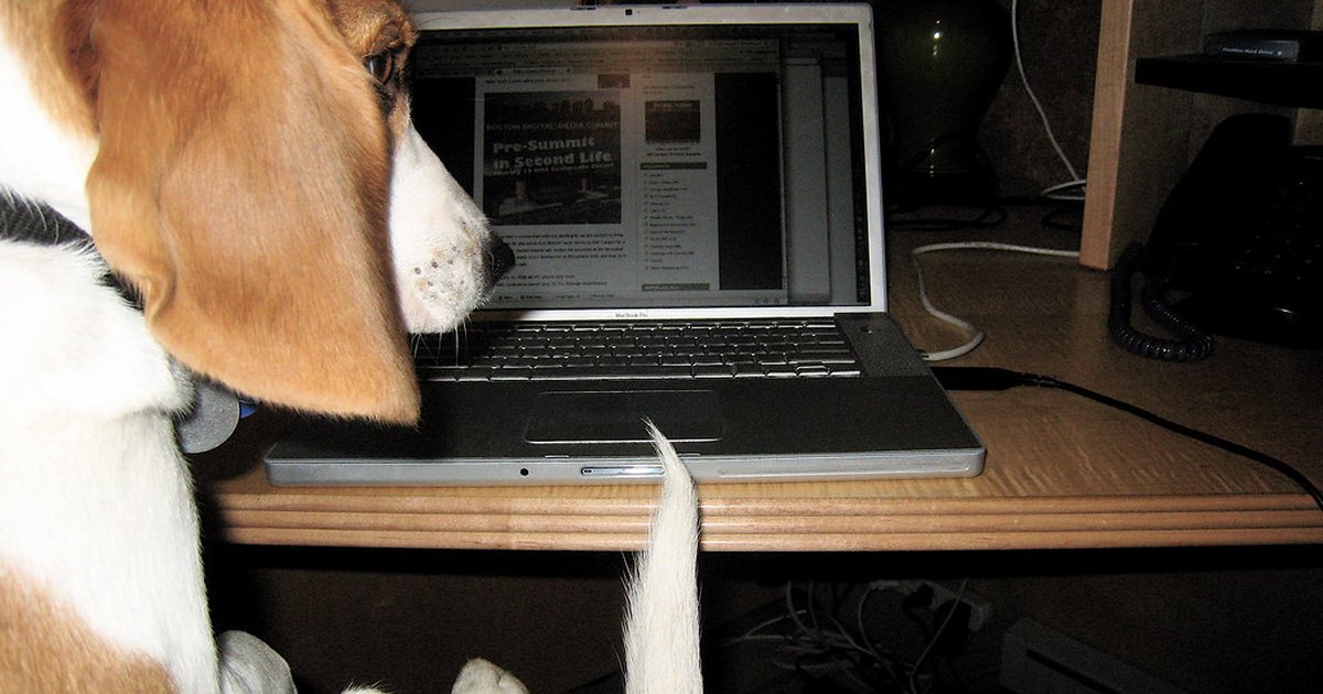 A web designer's screen showing a website layout being built